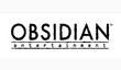 Obsidian вновь выйдет на Kickstarter весной