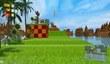 Sonic the Hedgehog с видом от первого лица
