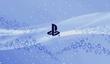 Sony повторно зарегистрировала торговую марку PlayStation TV