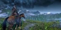 The Witcher 3: Wild Hunt с поддержкой PhysX и DX11
