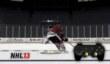 NHL 14 - финты, анимация и другие улучшения