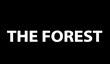 Ужастик The Forest: геймплей и поддержка Oculus Rift