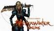 Закрытый бета-тест Neverwinter Online, все подробности