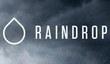 Атмофсерный хоррор/FPS Raindrop