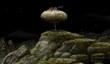 Samorost 3 в 2015-м