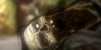 Анонс The Walking Dead: Season 2