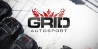 РС-версия GRID: Autosport получит бесплатный texture pack объемом 5 ГБ в день релиза