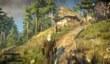 Геймплей The Witcher 3: Wild Hunt – Downwarren