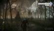 Gamescom-демонстрация The Witcher 3: Wild Hunt