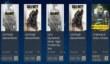 12 декабрьских предложений в PlayStation Store (Call of Duty: Advanced Warfare и Ys: Memories of Celceta)