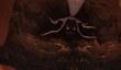 Трейлер Final Fantasy XIV: A Realm Reborn для PS4