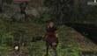 Демонстрация Dark Souls II