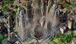 Оффлайновый режим SimCity на подходе