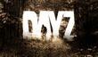 DayZ - 1 млн. копий за четыре недели