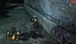 Новый геймплей Dark Souls 2