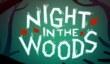 Анонс Night In The Woods для PS4