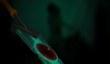 Launch-трейлер Transistor