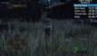 Скоростное прохождение Dark Souls 2 за 22 минуты