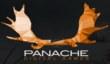 Patrice Desilets основал Panache Digital Games