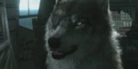 Новый персонаж Metal Gear Solid V: The Phantom Pain - DD