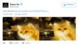 Создатели Deus Ex: Human Revolution прокомментировали тизер Call of Duty: Black Ops III