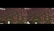 Видео, демонстрирующее превосходство Vulkan над OpenGL