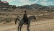 Такой несерьезный Metal Gear Solid 5: The Phantom Pain