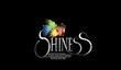 Shiness: The Lightning Kingdom вышла в Steam Early Access