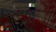 «Расчлененка» в Brutal Doom v20
