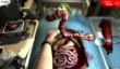 Продажи Surgeon Simulator 2013 превысили 2 млн копий