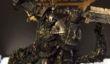 Blizzard отблагодарила ветеранов World of Warcraft