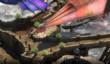 Бета-версия Torment: Tides of Numenera стартует 17 января