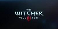 Почти 15 минут нового геймплея The Witcher 3: Wild Hunt