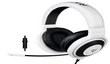 Razer представила гарнитуру Razer Kraken Pro