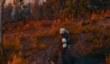 Демонстрация японской версии The Witcher 3: Wild Hunt 