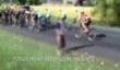 Тизер Pro Cycling Manager 2015 / Le Tour de France 2015 