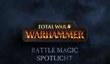 Боевая магия Total War: Warhammer