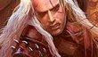 Дополнение для The Witcher