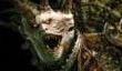 «Warhammer: Печать Хаоса. Марш разрушения» в июне 2008