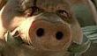 Ubisoft: Beyond Good and Evil 2 превзойдет оригинал во всем