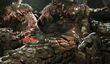 Слух: GOTY-издания Gears of War 2 и Fable II в сентябре