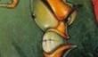 Новый старый Earthworm Jim