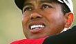 Две игры из серии Tiger Woods в этом году