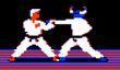 Мехнер работает над продолжением Karateka