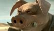 Судьба Beyond Good and Evil 2 повисла на волоске