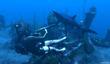 Новые скриншоты (Tomb Raider: Underworld, The Conduit и Tales of Vesperia)