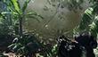 Crytek: все следующие игры не будут эксклюзивами