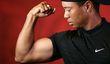 Серия Tiger Woods PGA Tour и $500 млн.