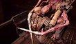  Тираж Dead Space превысил 1,4 млн. копий