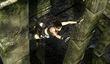 Tomb Raider: Underworld для Xbox 360. Эксклюзивные демо-версия и дополнение